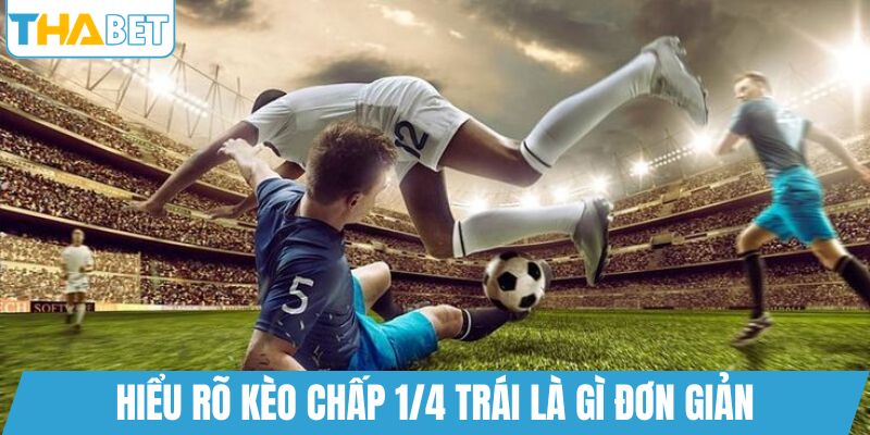 Hiểu rõ kèo chấp 1/4 trái là gì đơn giản