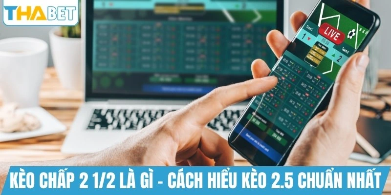 Kèo chấp 2 1/2 là gì - Cách hiểu kèo 2.5 chuẩn nhất