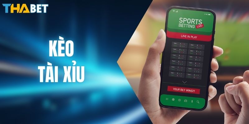 Kèo Tài Xỉu | Cách Đọc Và Kinh Nghiệm Đặt Cược Chuẩn