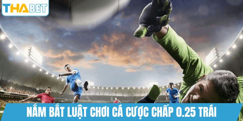 Nắm bắt luật chơi cá cược chấp 0.25 trái